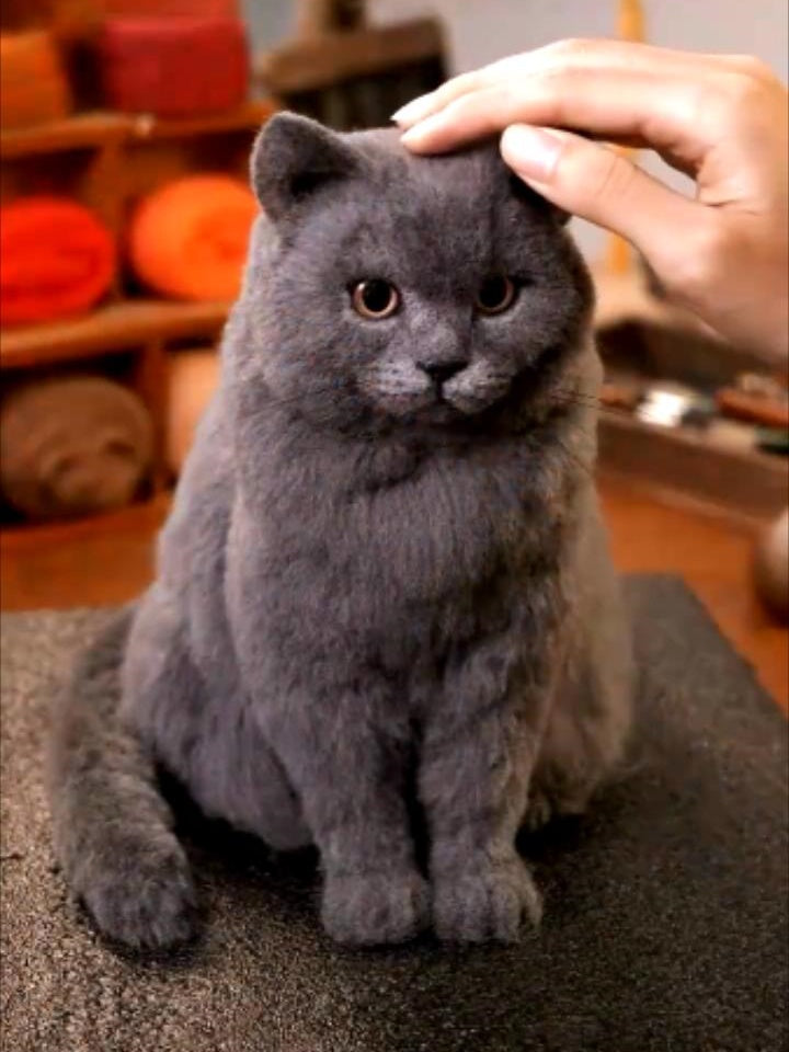 Figurines - Cat