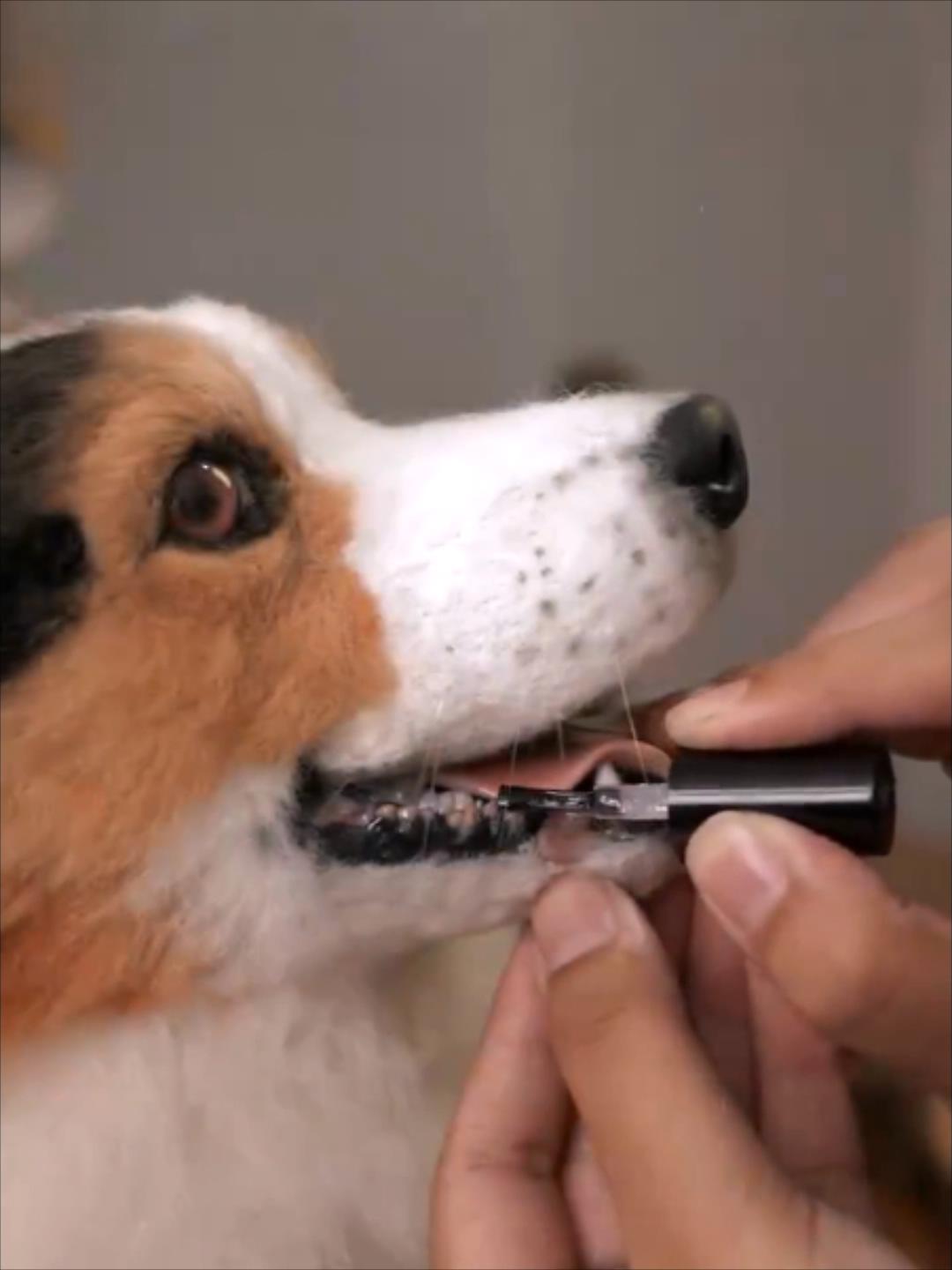 Figurines - Dog