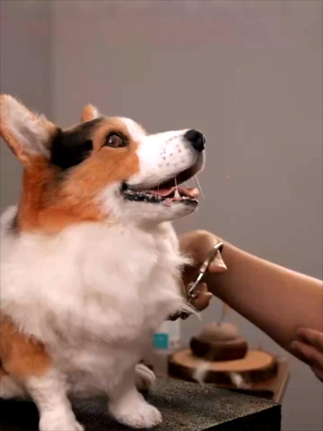 Figurines - Dog