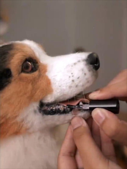 Figurines - Dog
