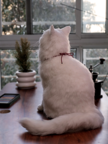 Figurines - Cat