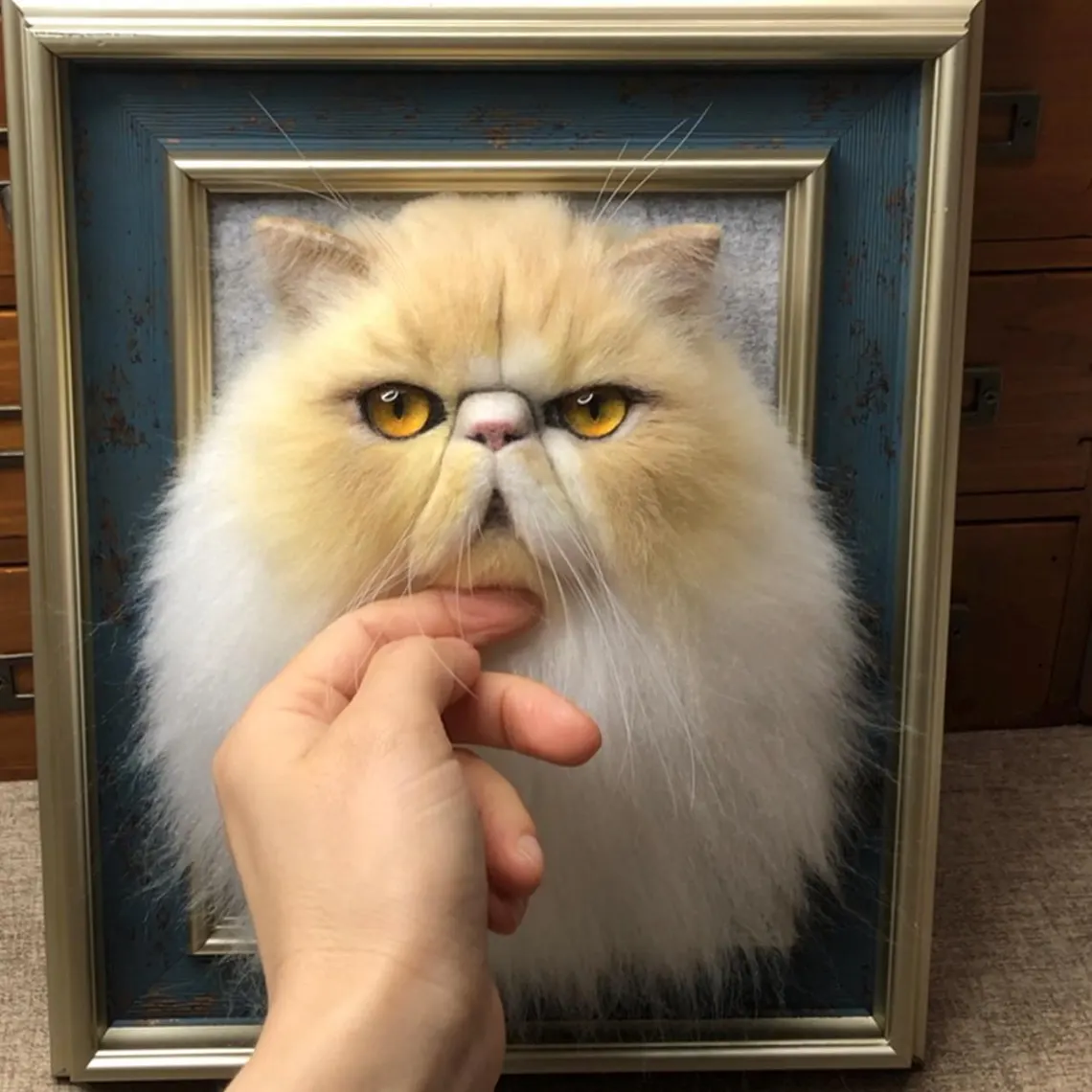 3D Portraits - Cat