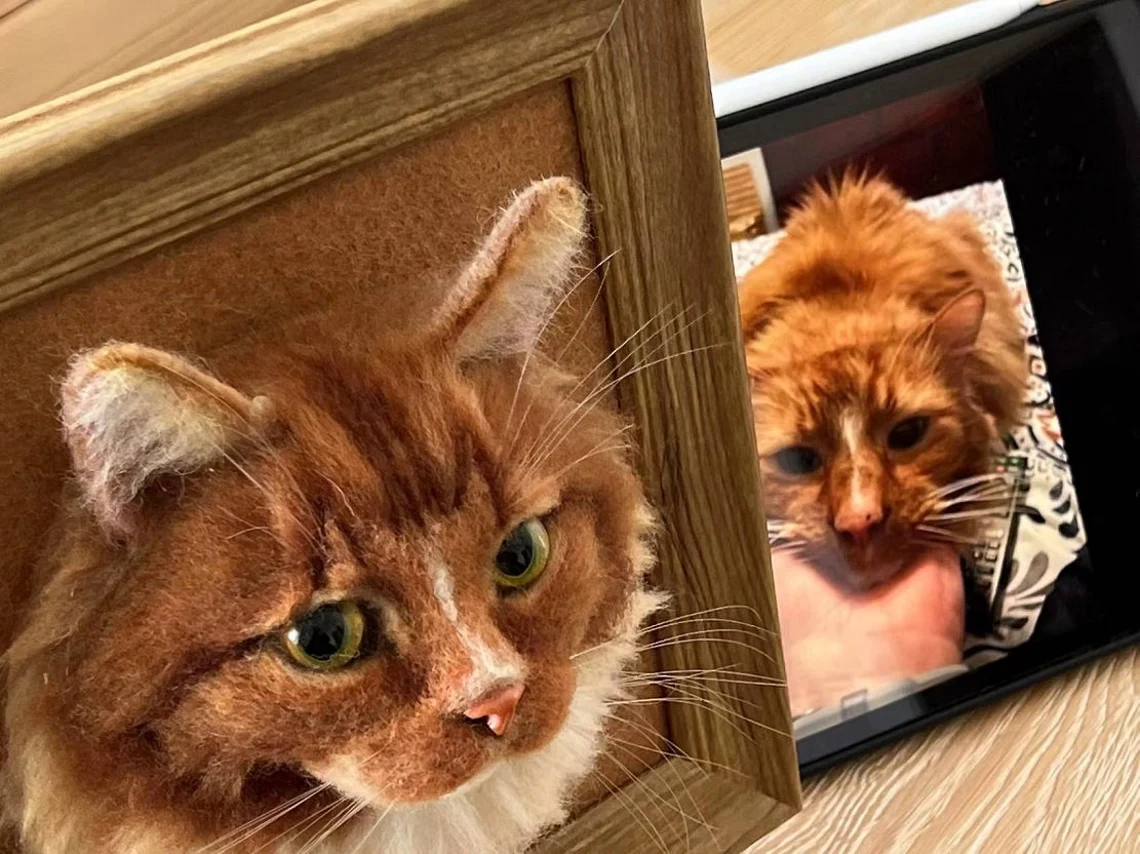 3D Portraits - Cat