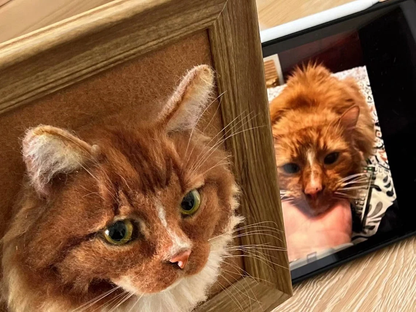 3D Portraits - Cat