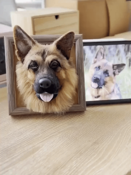 3D Portraits - Dog